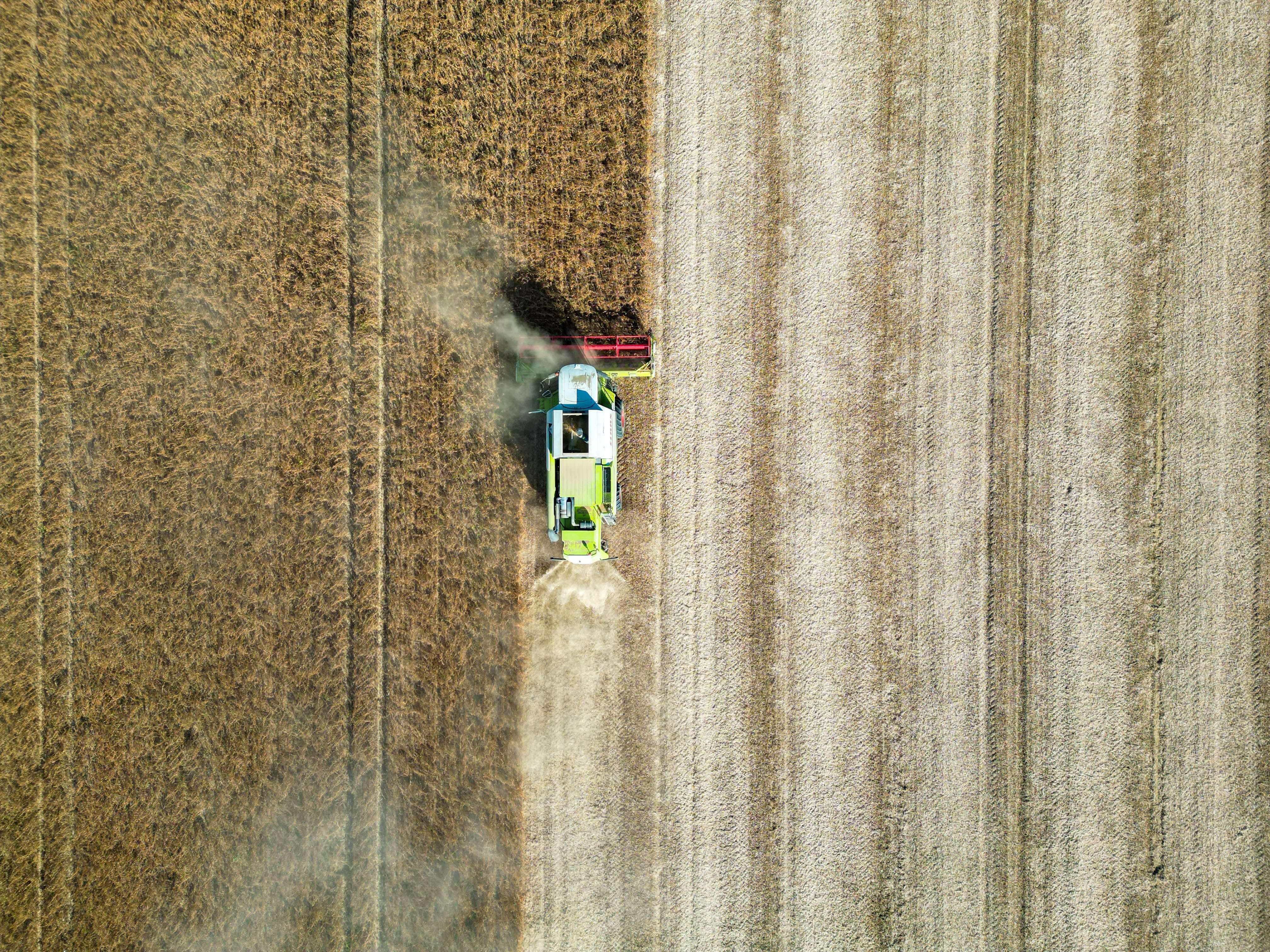 The State of Syria's Agriculture Sector And Its Investment Potential